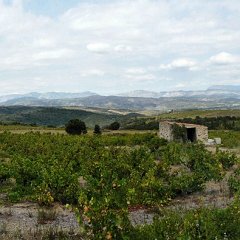 P1020872_stitch (Copier)